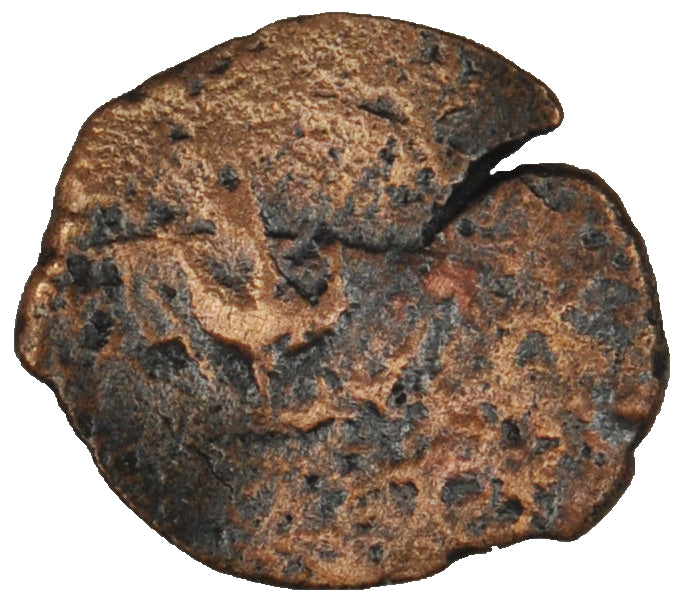 Biblical Ancient Coin ~ Widow's Mite Lepton Cleaned ~ Luke 21:2 (LP88)