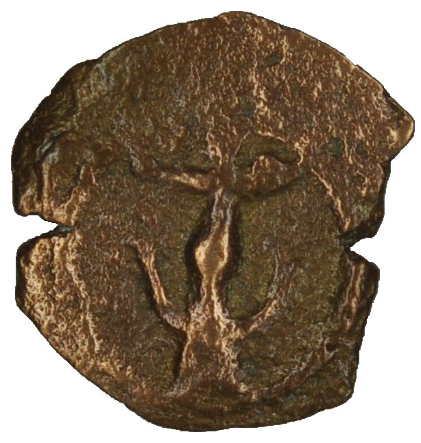 Biblical Ancient Coin ~ Widow's Mite Lepton Cleaned ~ Luke 21:2 (LP92)